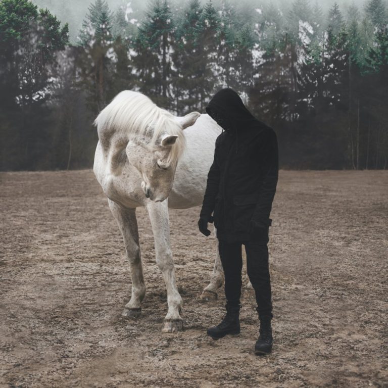 Sara releases new album